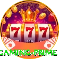 nn4 - Gaming Prime